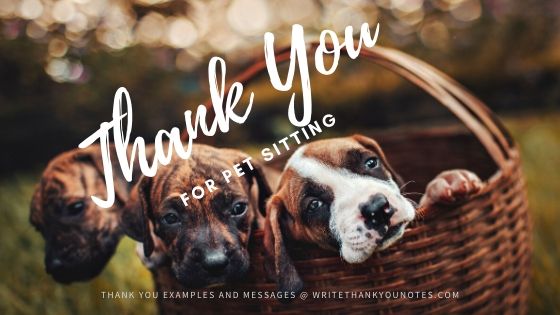 Write Thank-You Notes